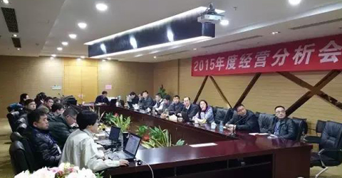 2015年度經營分析會議順利召開